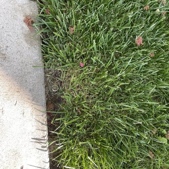 Davids Landscaping - Sprinkler 3 of 3 - Landscaping Near Me