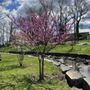 Veterans Memorial Park