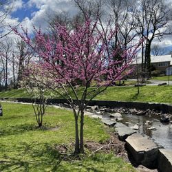 Veterans Memorial Park