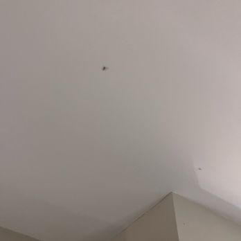 Camelback Resort - Bug infestation - Resorts Near Me - Tannersville, Pennsylvania Camelback Resort - Bug infestation - Resorts Near Me - Tannersville, Pennsylvania