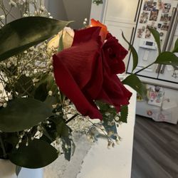 Jasons Flowers