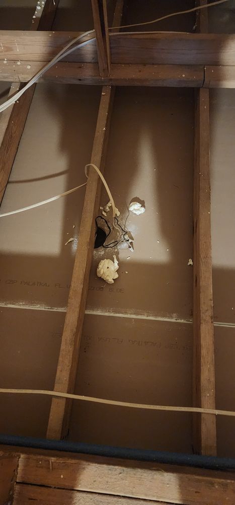 HomeTeam of Savannah - mold inspector in Savannah, GA