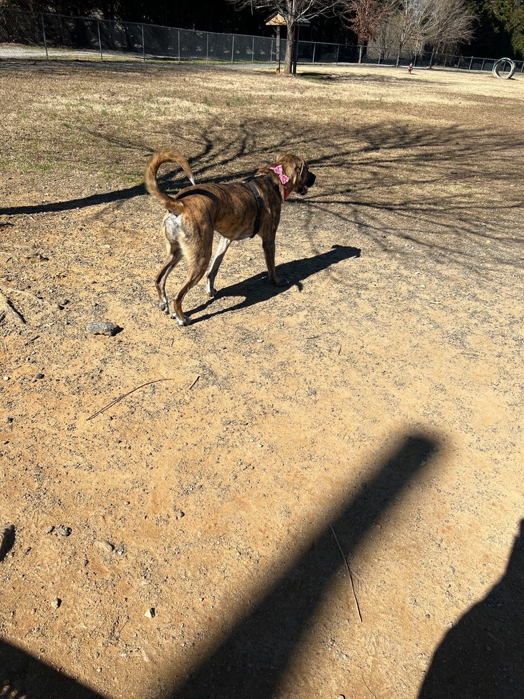 CANINE CROSSING DOG PARK Updated October 2024 10 Photos & 13