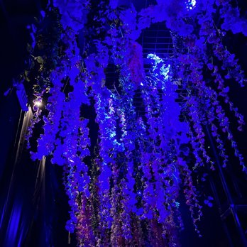 Ice Palace Films Studios - More of the ceiling. - Venues & Event Spaces Near Me - Miami, Florida Ice Palace Films Studios - More of the ceiling. - Venues & Event Spaces Near Me - Miami, Florida