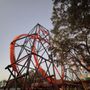 Photo of Tigris