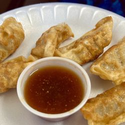 New Yamazato - Gyoza