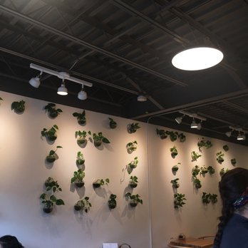 Tiki Tea - Coffee & Tea Near Me - Portland, Oregon Tiki Tea - Coffee & Tea Near Me - Portland, Oregon