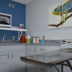 Saint Francis Animal Hospital - EXAM ROOM 2
