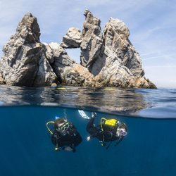 Beyond Land Adventures - Discover what lies beneath the ocean today!