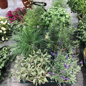 Equinox Valley Nursery - Nurseries & Gardening Near Me - Manchester, Vermont