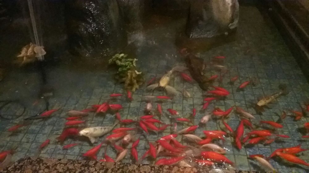 HIBACHI BUFFET Sushi Bar in Burlington, North Carolina at 309 Huffman