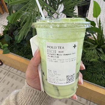 MOLLY TEA - Updated September 2025 - 2090 Photos & 1205 Reviews - 605 E ...