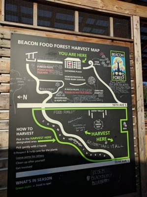 Beacon Food Forest by null