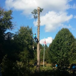 Golden Glove Tree Service