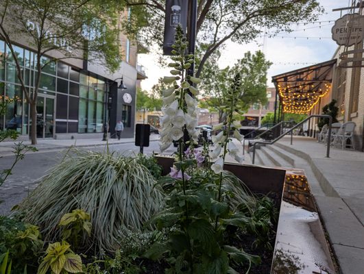 Westside Provisions District by null