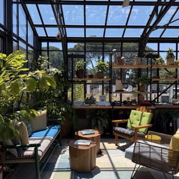 Treehouse Hotel Silicon Valley - Hotels Near Me - Sunnyvale, California Treehouse Hotel Silicon Valley - Hotels Near Me - Sunnyvale, California