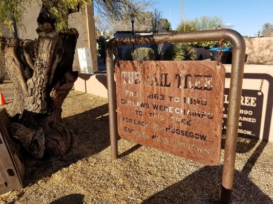 The Jail Tree by null