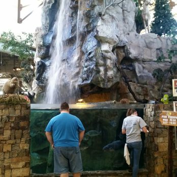 Bass Pro Shops - Grapevine - Hunting & Fishing Supplies Near Me - Grapevine, Texas Bass Pro Shops - Grapevine - Hunting & Fishing Supplies Near Me - Grapevine, Texas