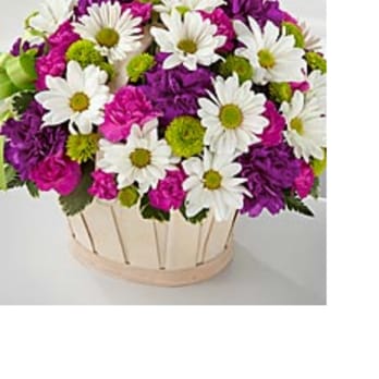 Abandale Florist - This is what I order - Florists Near Me - Tucson, Arizona Abandale Florist - This is what I order - Florists Near Me - Tucson, Arizona