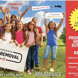 Torrance Lice Removal