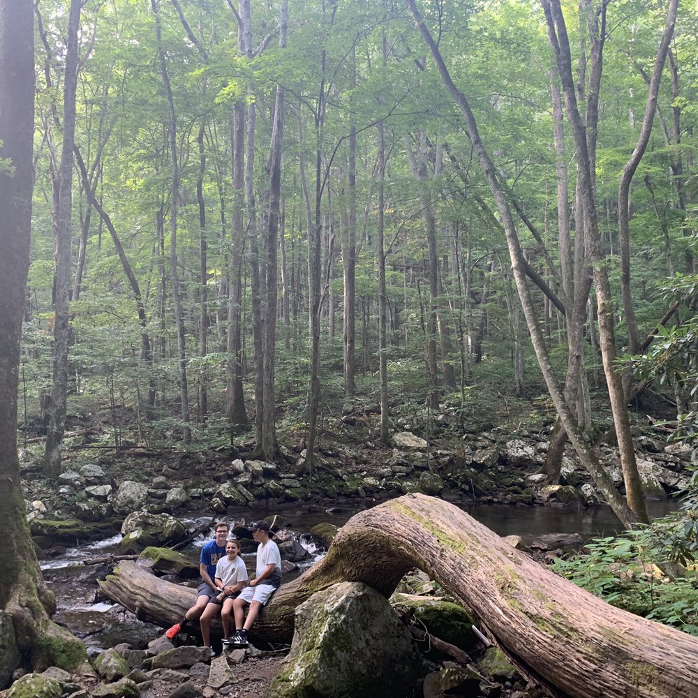 Cascade Falls - Parks Near Me - Pembroke, Virginia