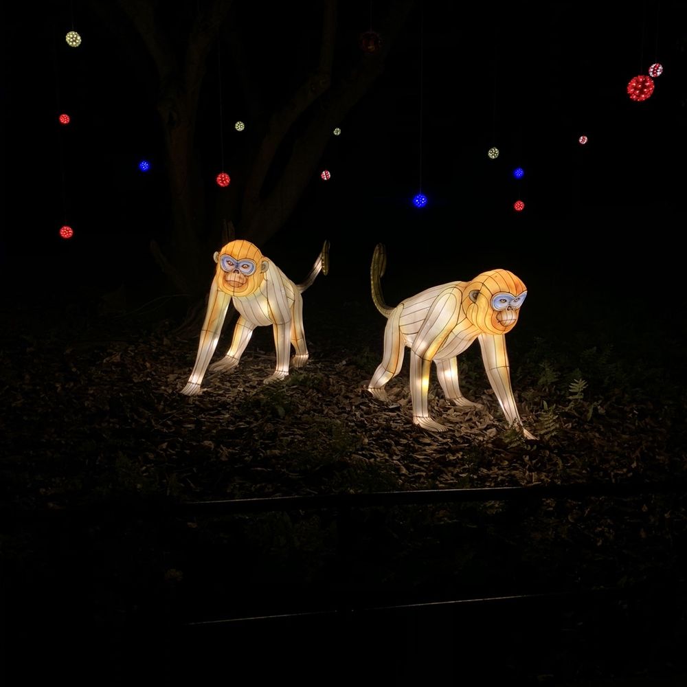 ZooLights - Zoos Near Me - Washington, DC, District of Columbia