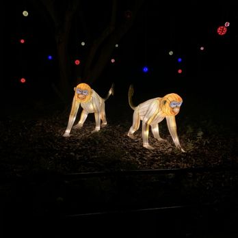ZooLights - Zoos Near Me - Washington, DC, District of Columbia