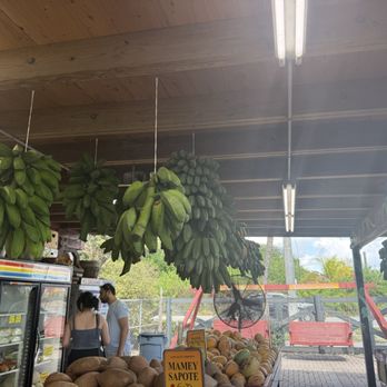 Robert Is Here - More fruits - Fruits & Veggies Near Me - Homestead, Florida Robert Is Here - More fruits - Fruits & Veggies Near Me - Homestead, Florida