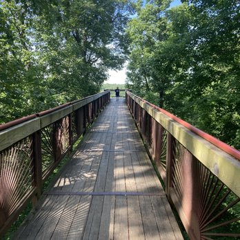 Bernheim Forest and Arboretum - Canopy Walk - Parks Near Me - Clermont, Kentucky