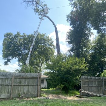 Foxx Tree Service - Landscaping Near Me - Monroe, Louisiana Foxx Tree Service - Landscaping Near Me - Monroe, Louisiana