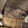 Photo of AAA Mr Mike Carpet Care