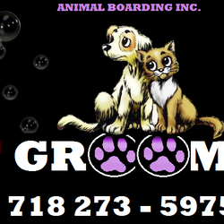 Animal Boarding