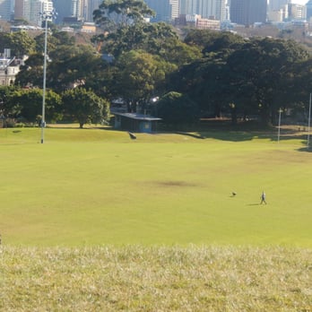 Mount Steel - Field - Local Flavor Near Me - Moore Park, NSW