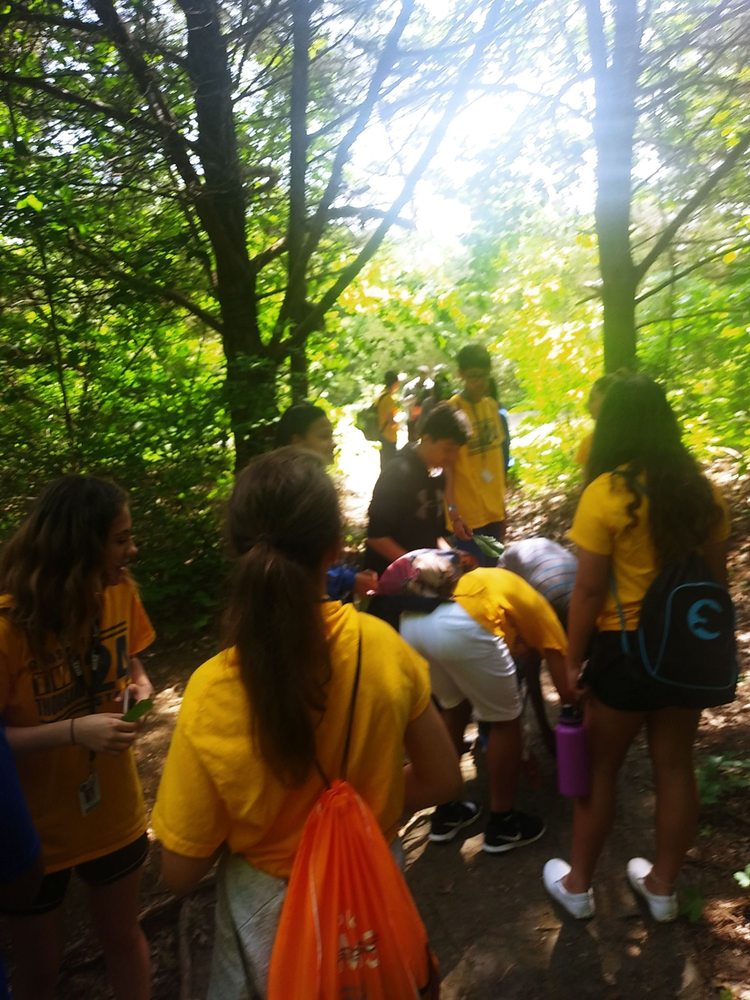 YMCA COLLIN COUNTY ADVENTURE CAMP 11 Photos 1180 West Houston St