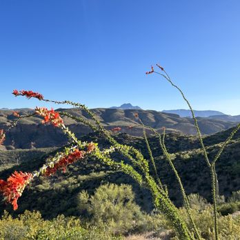 Boulder Canyon Trail - Superstition Mountain - Hiking Near Me - Tortilla Flat, Arizona