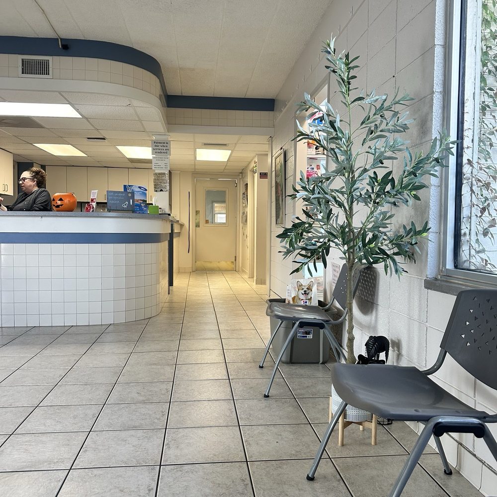 Jackson Veterinary Hospital - Lobby - Veterinarians Near Me - St Augustine, Florida Jackson Veterinary Hospital - Lobby - Veterinarians Near Me - St Augustine, Florida