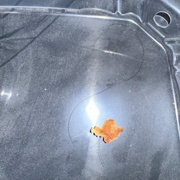 Hair cooked with batter