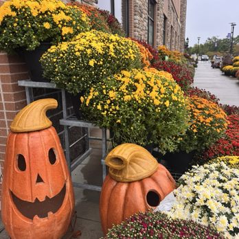 Wegmans - Grocery Near Me - Medford, Massachusetts Wegmans - Grocery Near Me - Medford, Massachusetts
