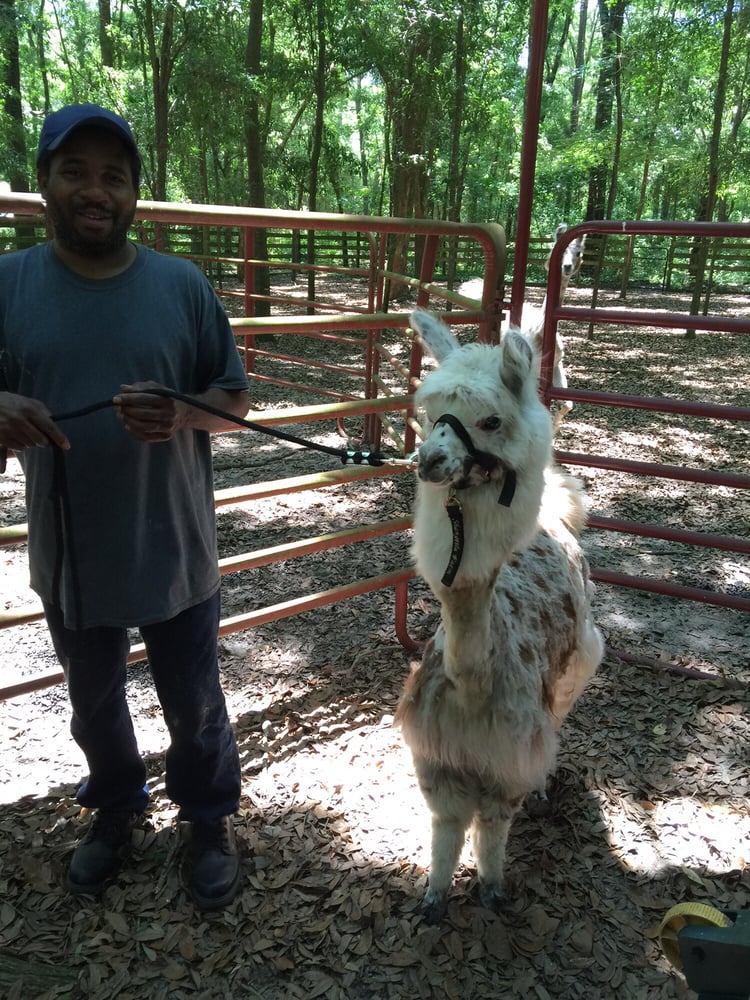 AWESOME PET WASH Updated August 2024 Crawfordville, Florida Pet