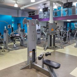 Crunch Fitness - Chestnut