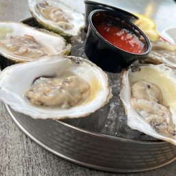 Oysters Oysters