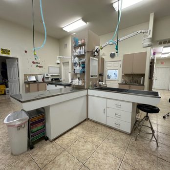 Stoneside Veterinary Hospital - Veterinarians Near Me - Waller, Texas Stoneside Veterinary Hospital - Veterinarians Near Me - Waller, Texas