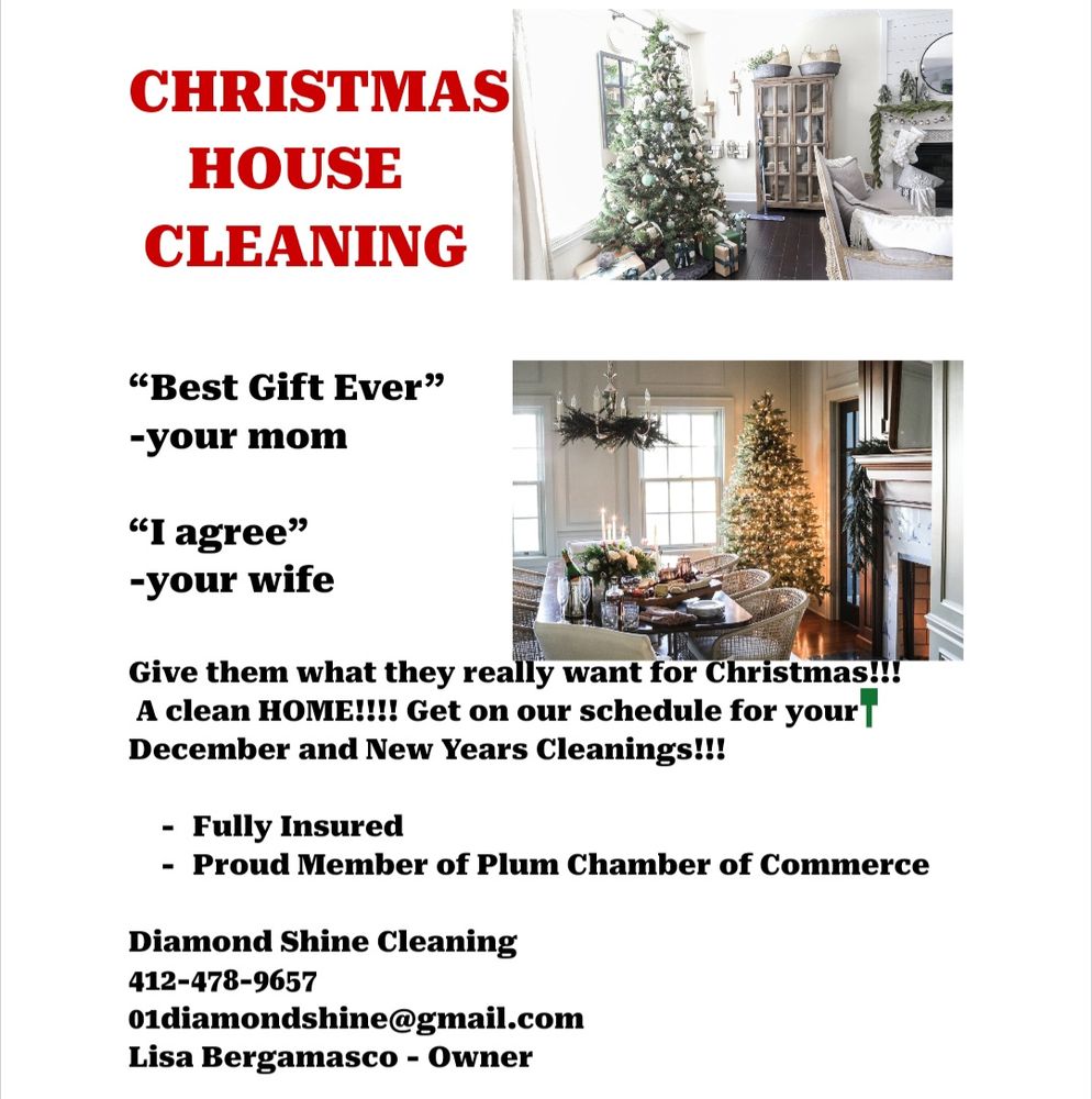 DIAMOND SHINE CLEANING - Updated April 2026 - Request a Quote - Plum ...