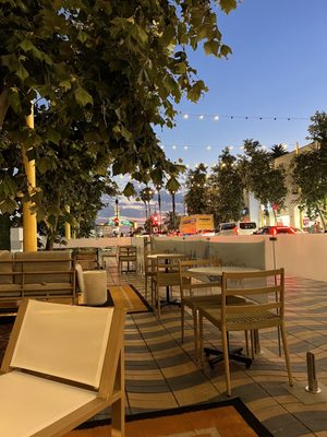 The Surfing Fox by null