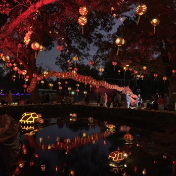 Pumpkin Nights - Festivals Near Me - Arlington, Texas