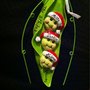 Sonda's Gift Gallery