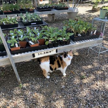 Finley Family Nursery - Made a new friend too!! - Nurseries & Gardening Near Me - Templeton, California Finley Family Nursery - Made a new friend too!! - Nurseries & Gardening Near Me - Templeton, California