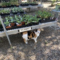 Finley Family Nursery - Made a new friend too!!
