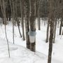 Photo of Sentiers De Plein Air De La Presqu'ile