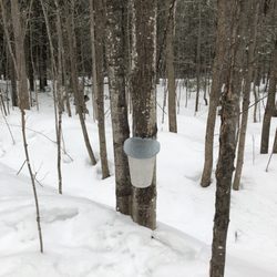 Sentiers De Plein Air De La Presqu'ile
